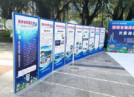 榕江KT板的种类和知识。